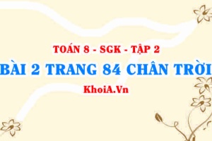 Bài 2 trang 84 Toán 8 Chân trời sáng tạo Tập 2